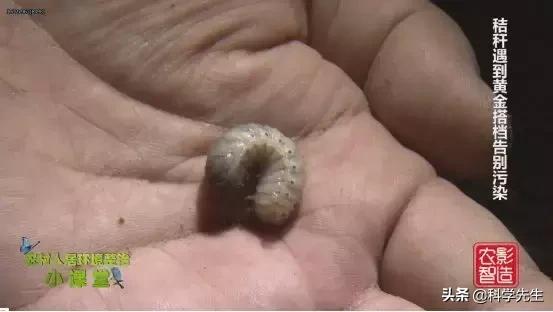 3万吨秸秆收益,利用秸秆赚钱