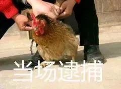 一90后男子嫖娼时发现“卖淫女”竟是男人