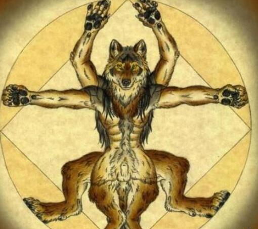 狼人传说真相揭秘,狼人传说真的存在吗