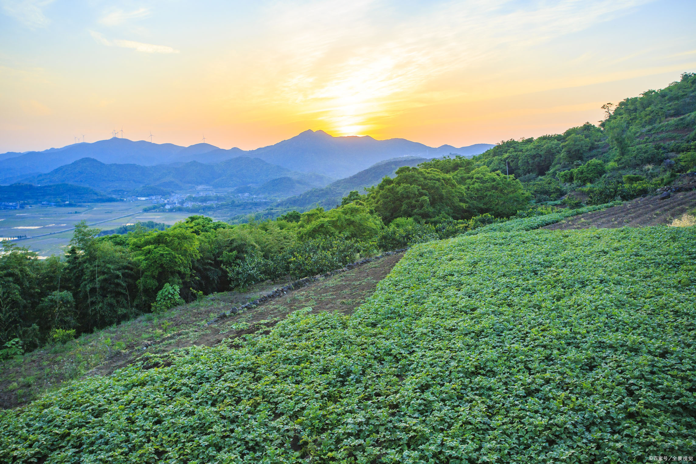 想养个孩子,想养出一个好儿子就要对他撒娇