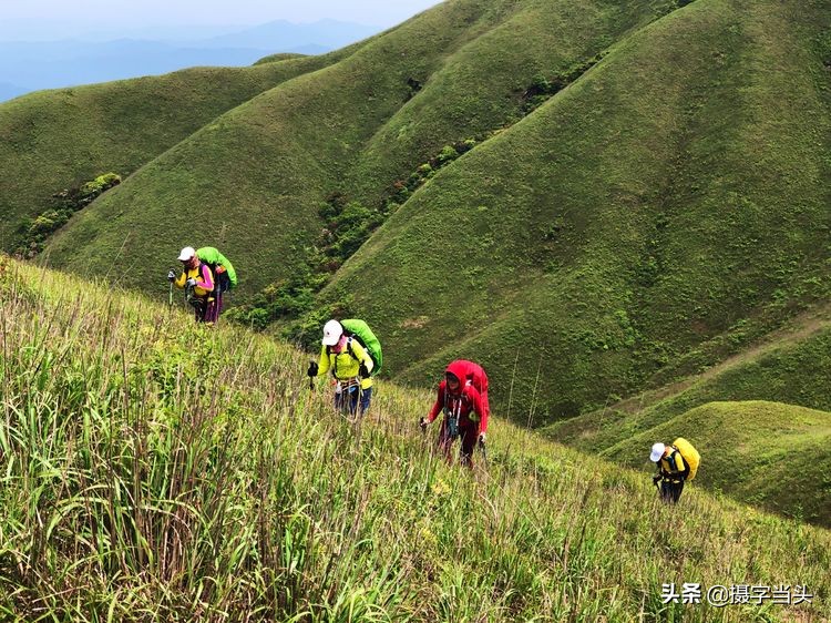 初夏游江西：历经晴、雨、雾，穿越武功山