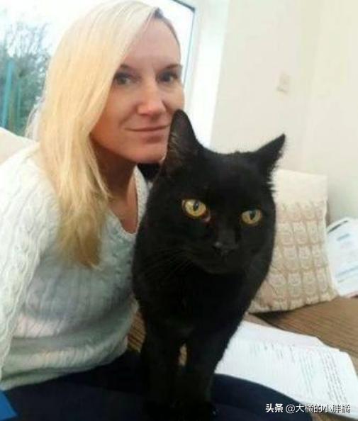 猫咪失踪20年后再次找到猫,爱猫走失11年再见到主人时