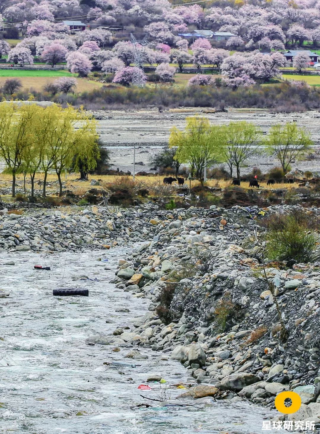 西藏你错过的风景,西藏路上的美景总是让你惊喜