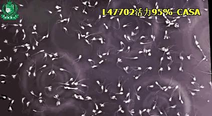 备孕期间需准备哪些药物,备孕需要备哪些药