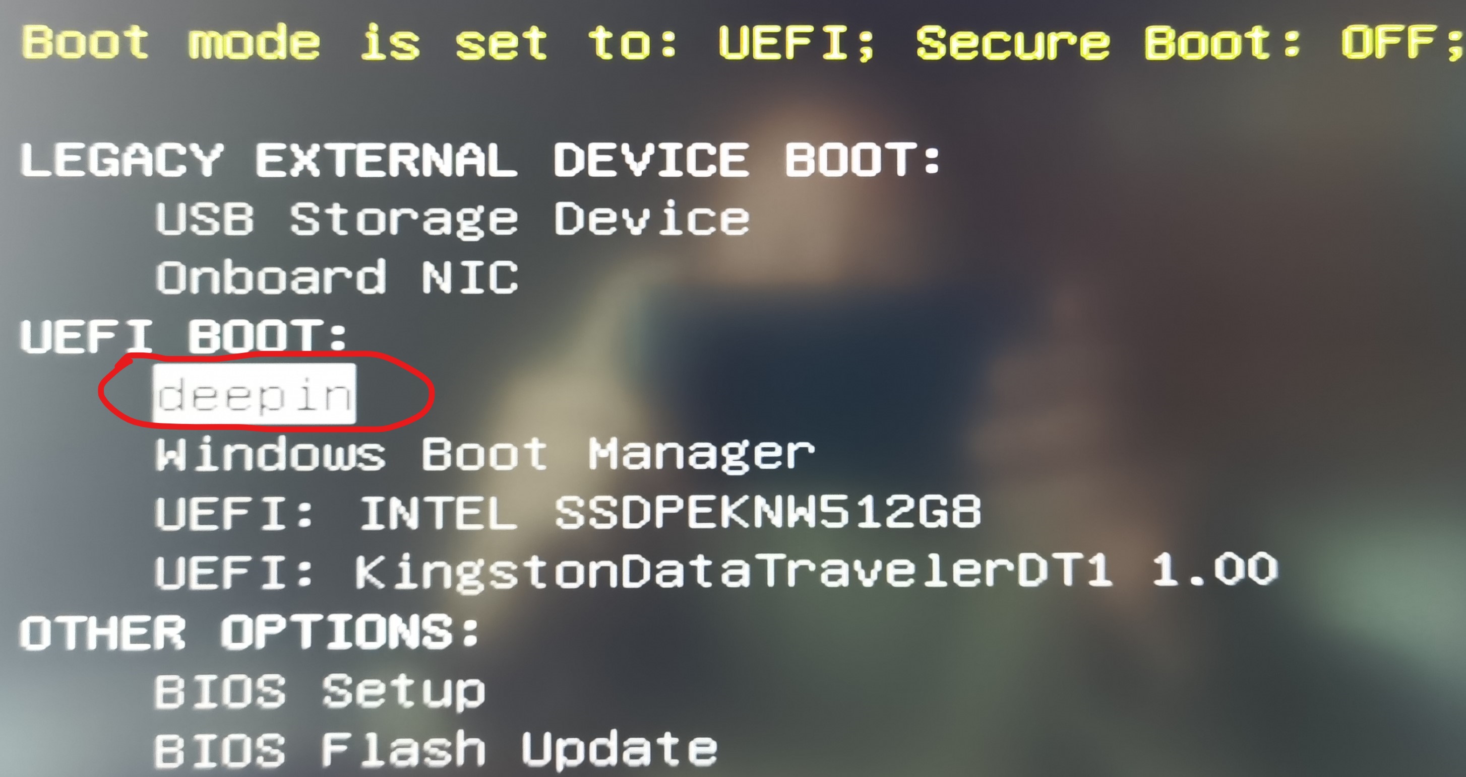 win10与deepin双系统安装详细教程,如何给win10系统装deepin双系统