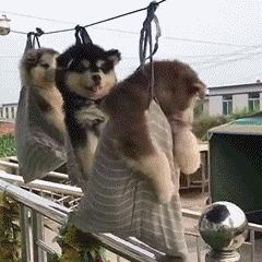 支付宝不让别人转账给我怎么设置,支付宝不给别人看到名字怎么设置