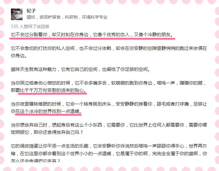 医生建议养猫治愈抑郁症,抑郁症养猫还是养狗好