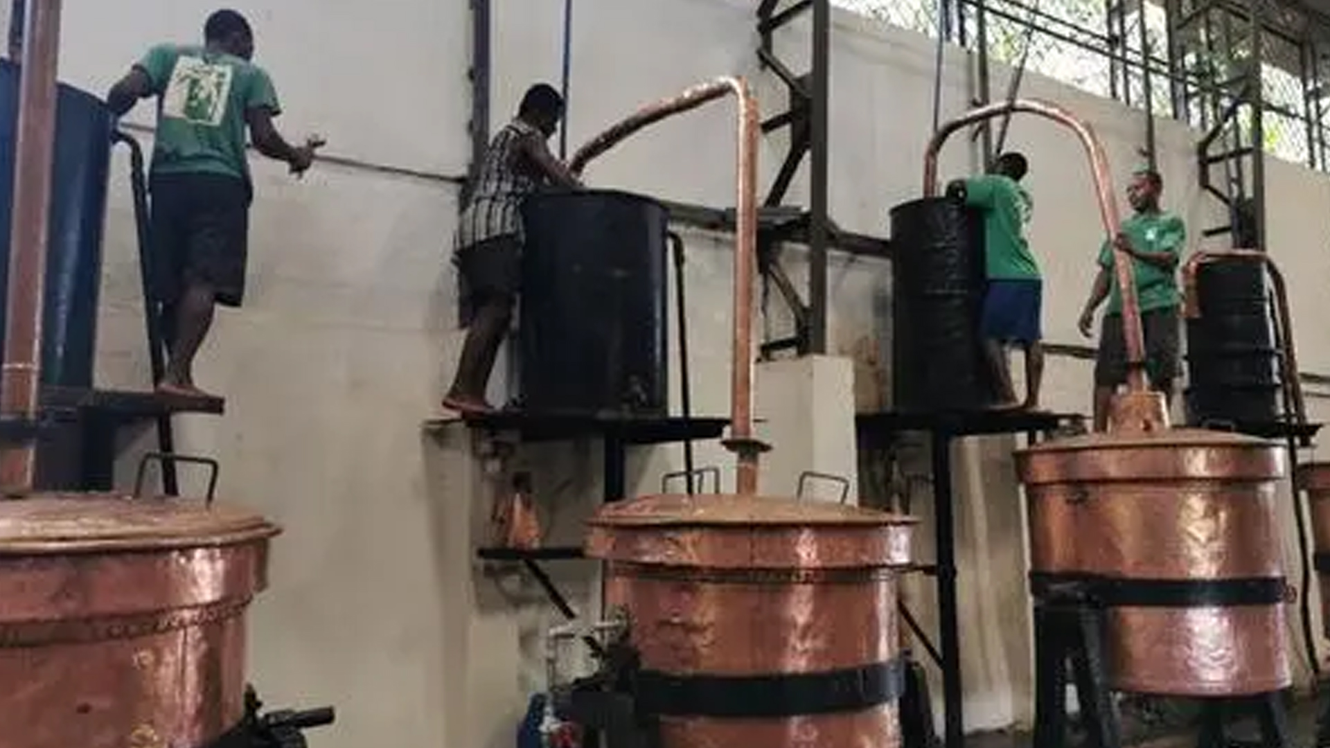 精油课堂50种精油日常用法,芳香精油课程教程