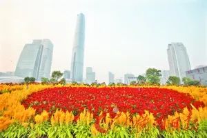 可惜了操场,天河天环广场的图片