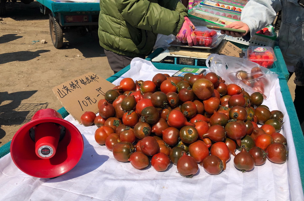 阜新各乡镇集市,阜新地方特色集市