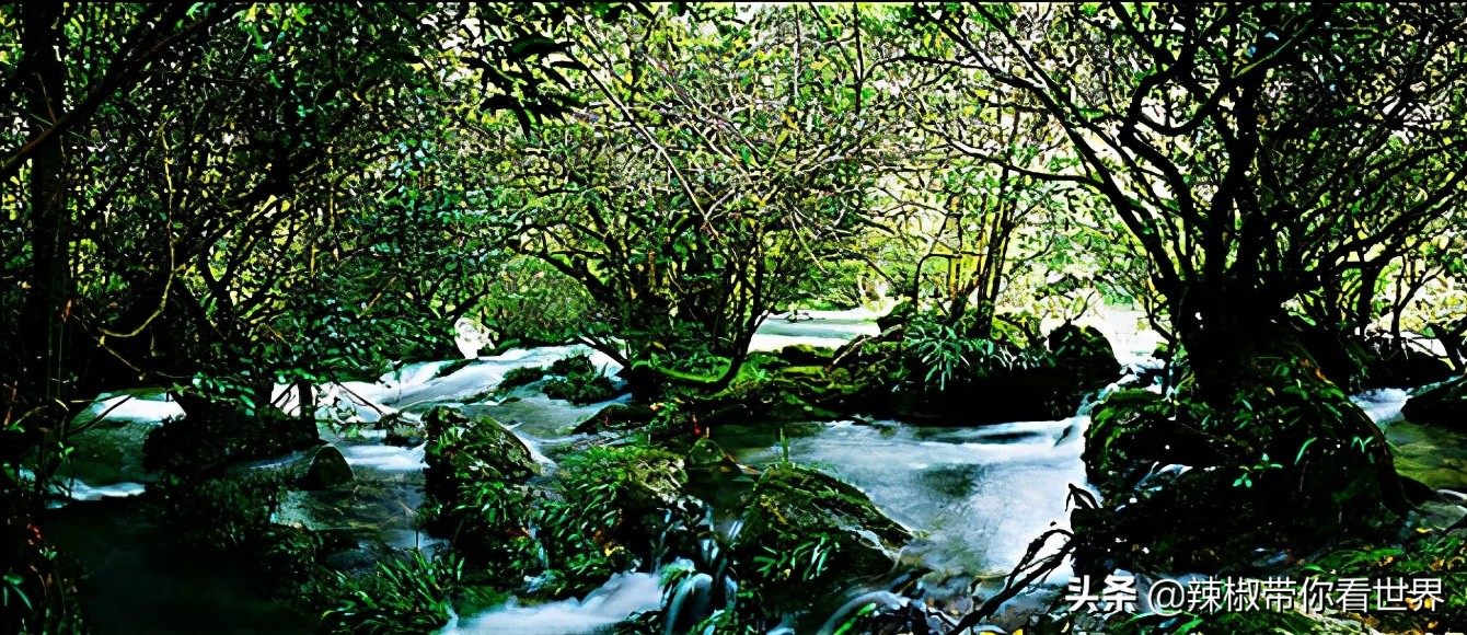 从西到东:贵州——沿河流“黔”行在这里一万种辣椒吃法向你奔来