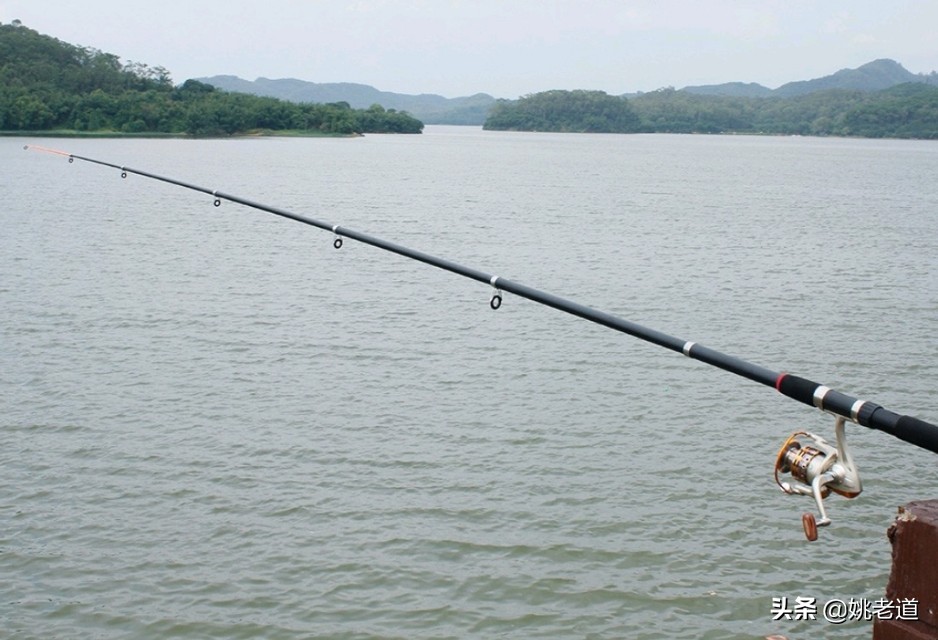 野钓伊势尼用几号钩比较好,野钓用伊势尼几号钩合适
