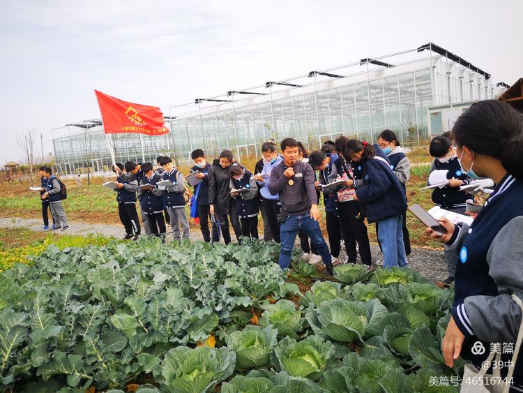 体耕读文化彰劳动之美——记合肥三十九中劳动研学活动