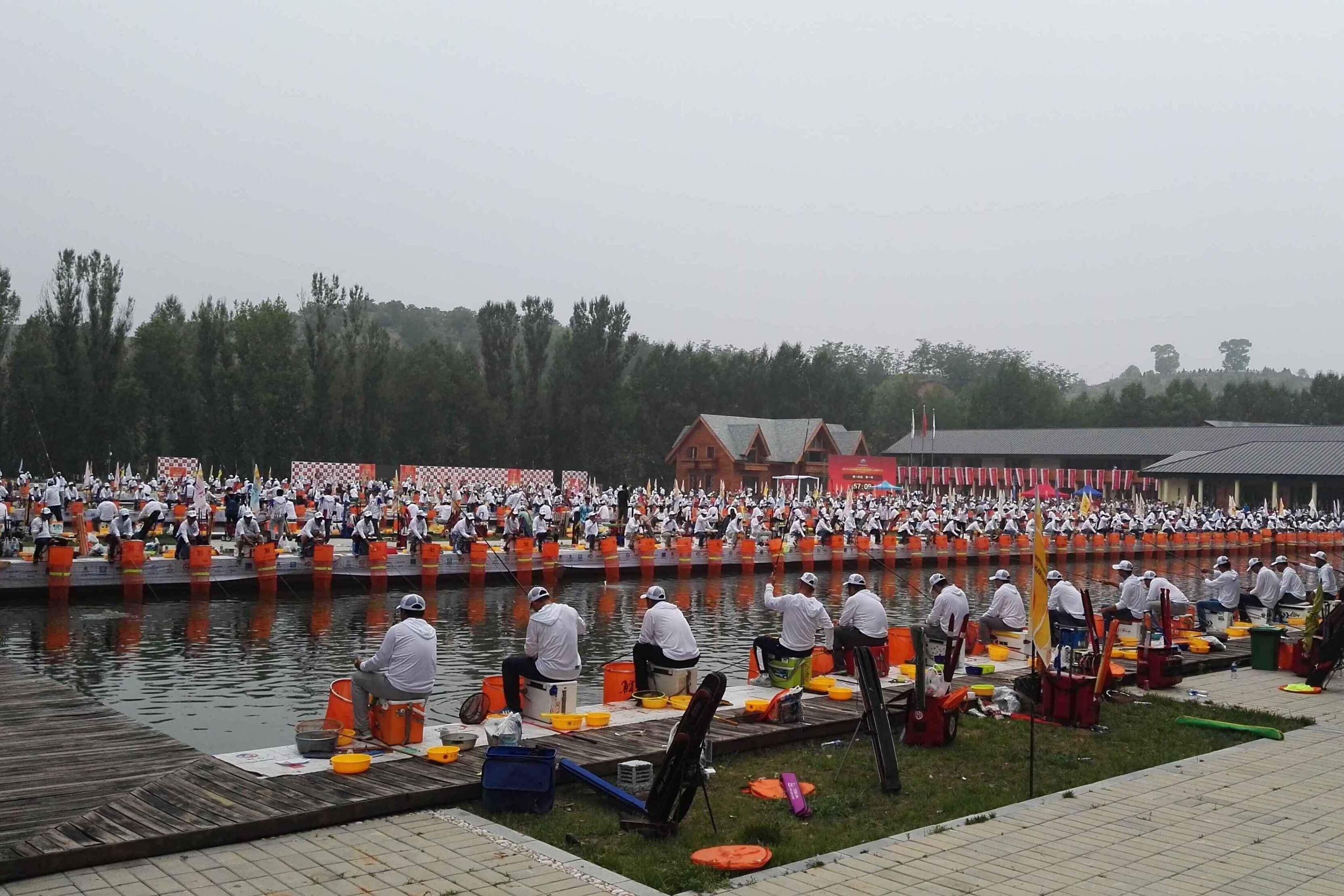 黑坑添加小药的正确方法与技巧,野钓钓鱼小药排行榜第一名