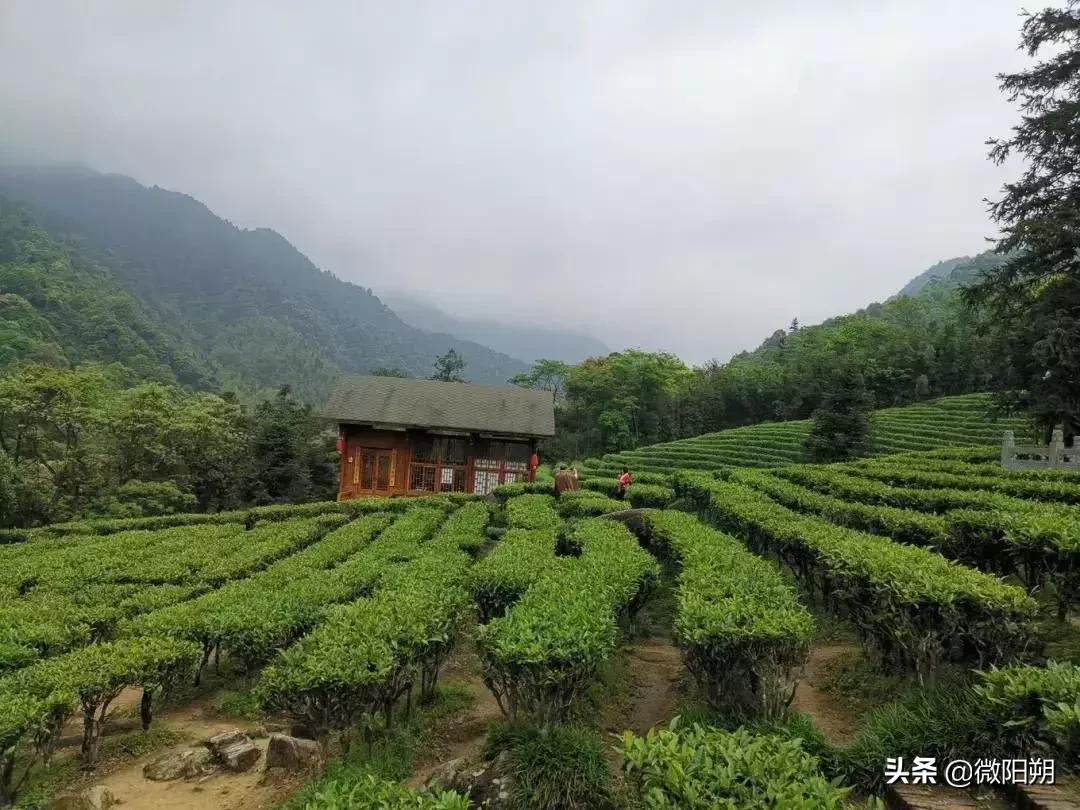 广西最好避暑的县城,广西那边热吗