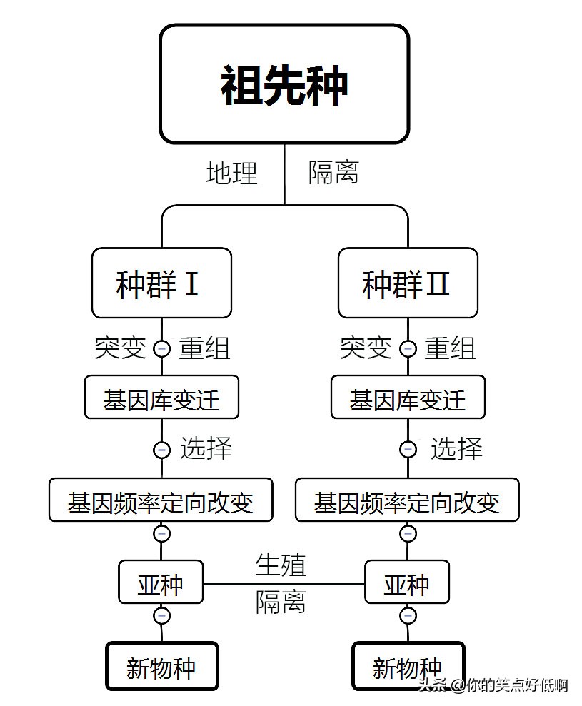 非洲象和亚洲象有没有生殖隔离，能不能杂交出“亚非象”？