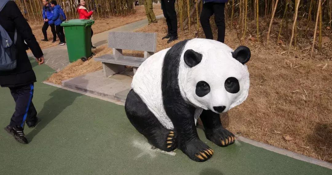 活动锦集|你在点金的每一个点滴,都值得被记住