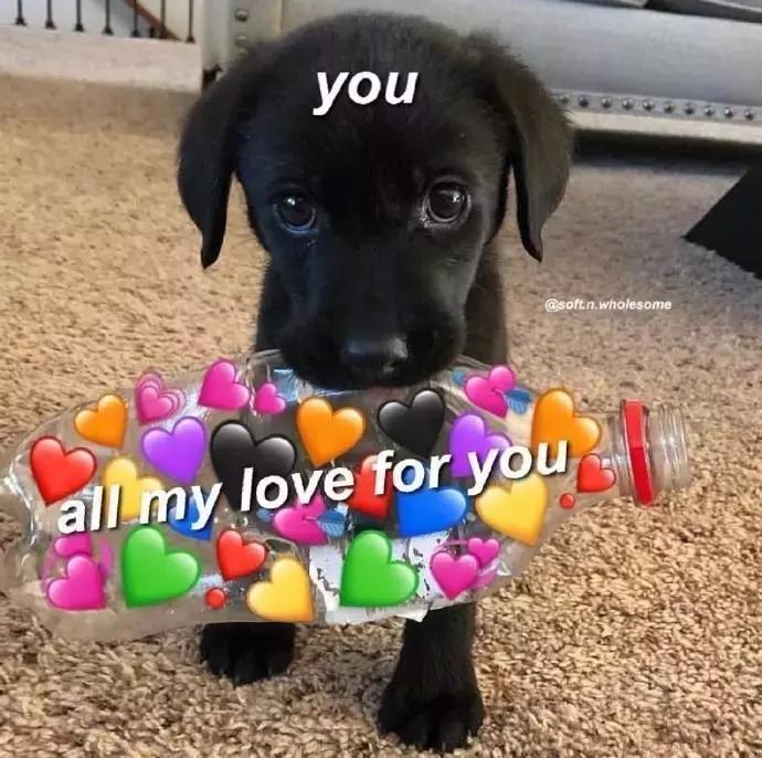 年营业额200亿的廉价批发市场，代购手里一半的假包都来自这里