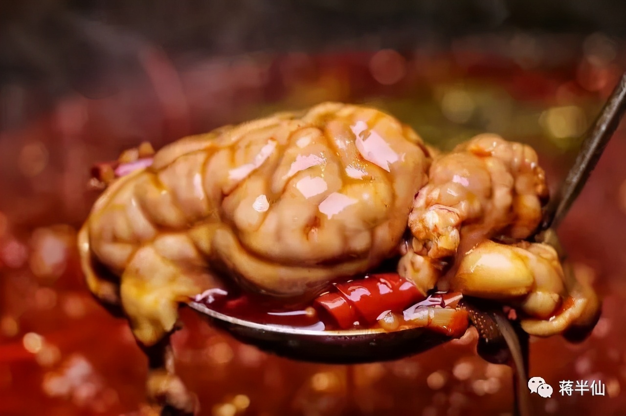 旅行日记之四川成都,四川成都游记作文600字