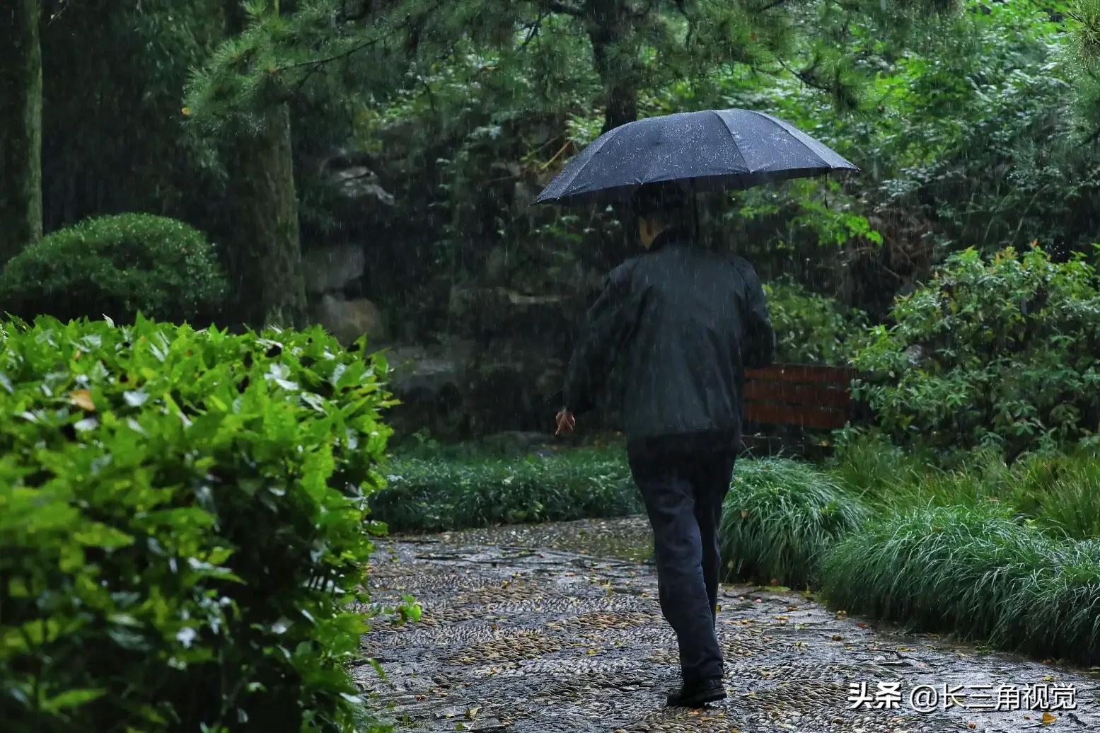 “断崖式”寒潮过后，湖州：晚秋芙蓉始盛开