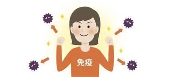 桑树全身都是宝本草纲目记载,桑树一身都是宝被称为东方神木