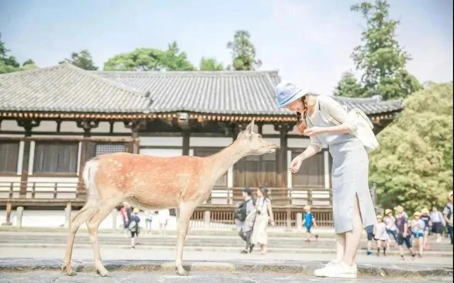 东南花都花博园全新升级鹿岛公园,东南花都花博园导览图