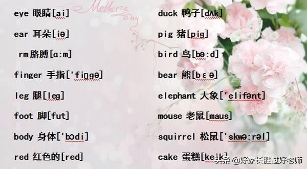 小学英语“单词表+音标”！给孩子贴墙上背熟，初中都领先一大截