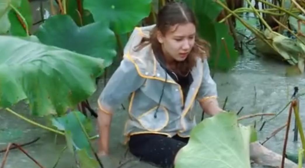 纯素人、偏公益,《谁知盘中餐》为何一举拿下四网省级卫视第一