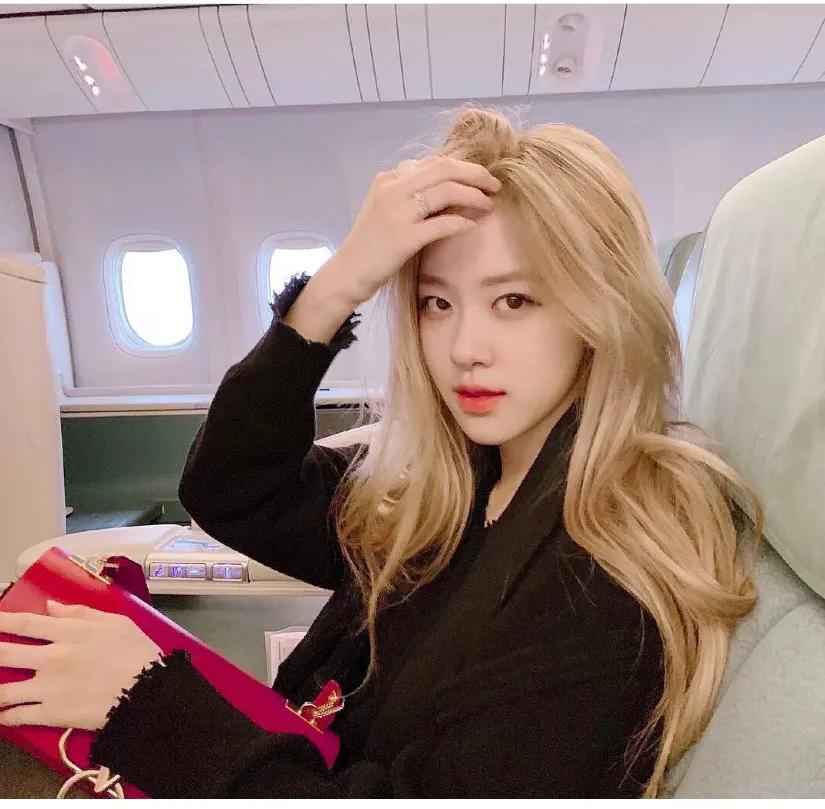 rose澳洲野玫瑰红裙子 (rose澳洲野玫瑰)