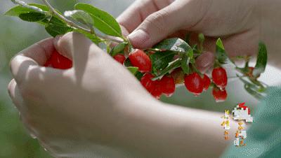 宁夏最穷人口最少的市,宁夏最富的县vs宁夏最穷的县