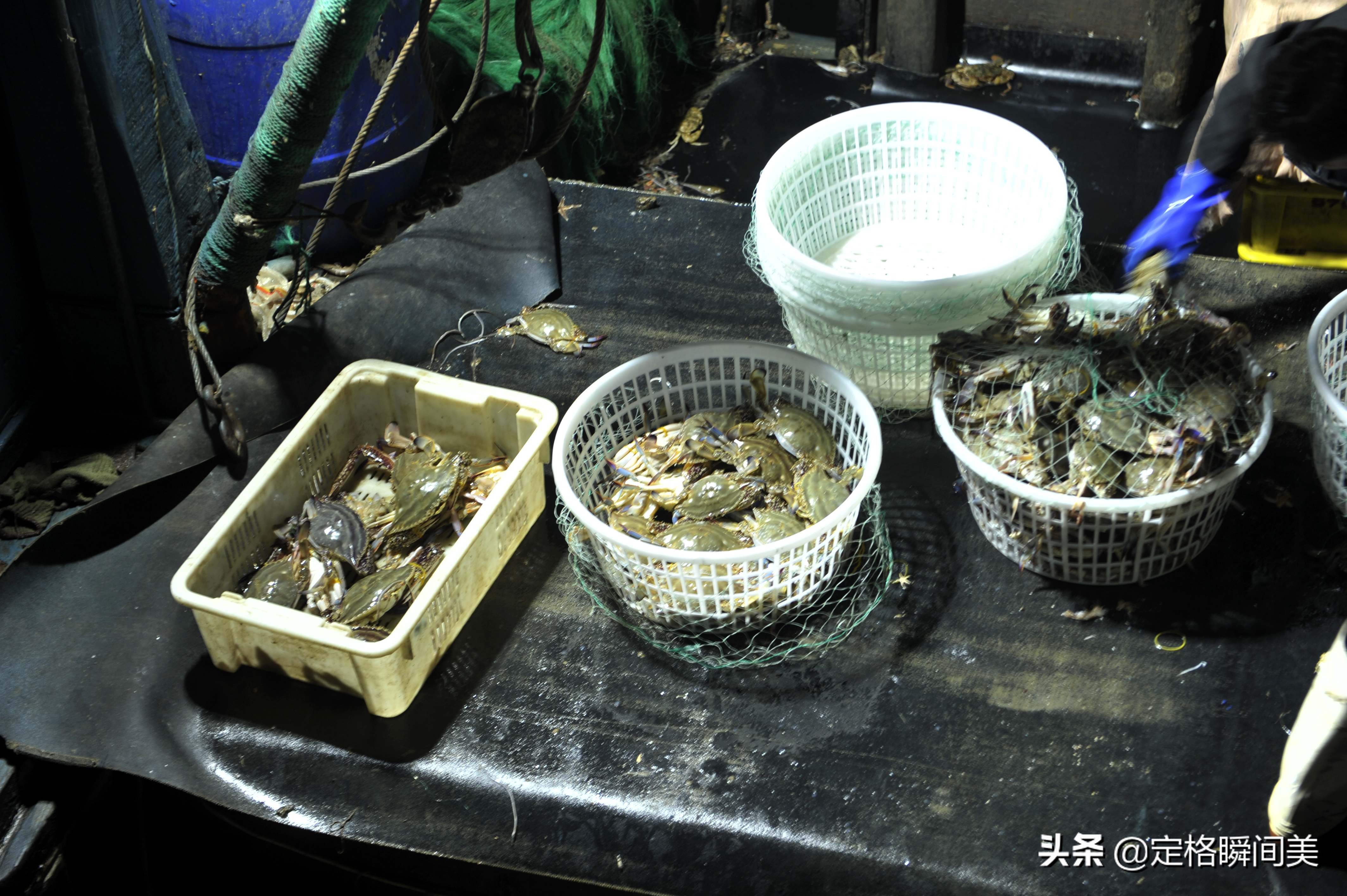 青岛捡漏,夜探青岛最新视频