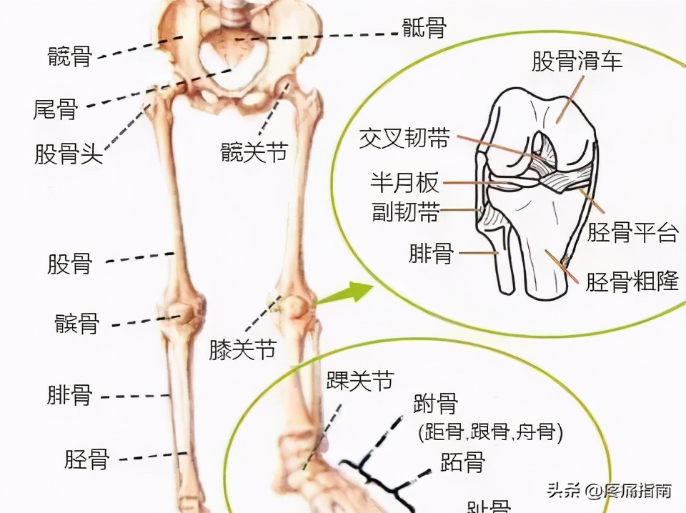 踝管综合征针刀视频,针刀松解术治踝管综合征效果好吗