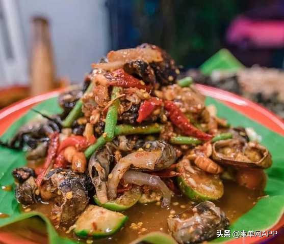 在柬埔寨必做的一百件事,一般去柬埔寨的人都是做什么