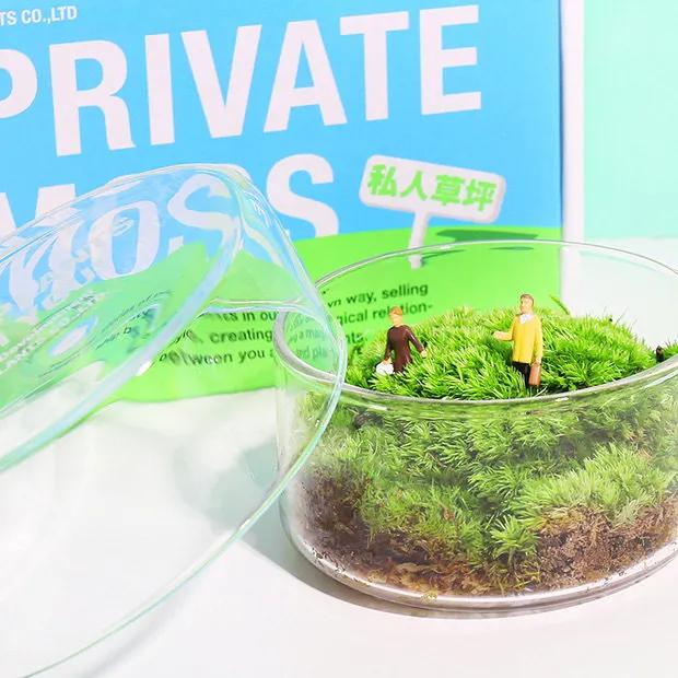 宝藏品牌大揭秘,宝藏品牌带来惊喜