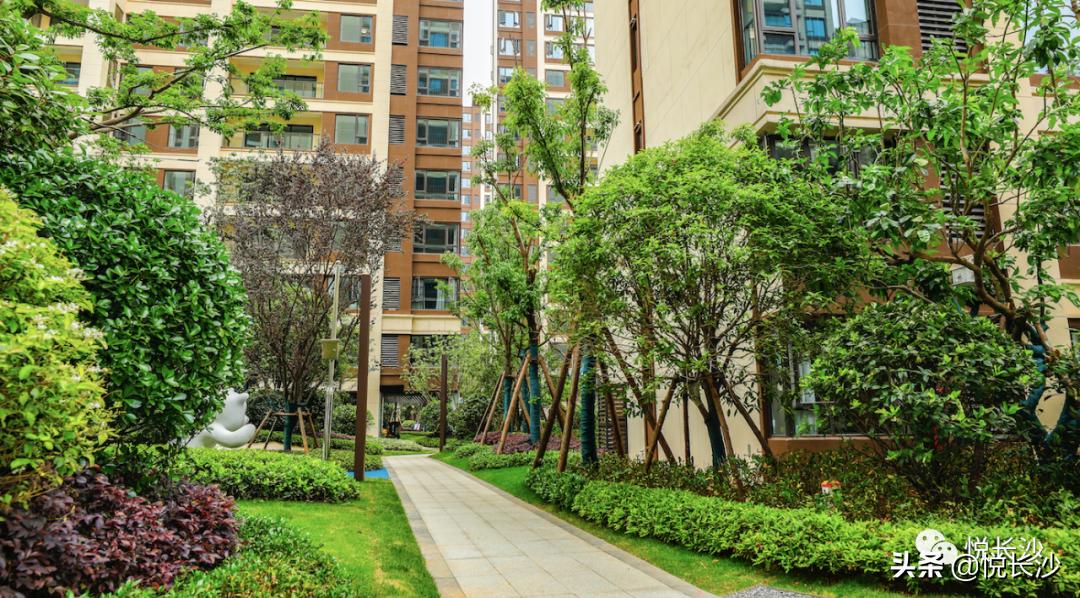 同价位，选精装现房or毛坯期房？还有德思勤商圈加持，近青园小学