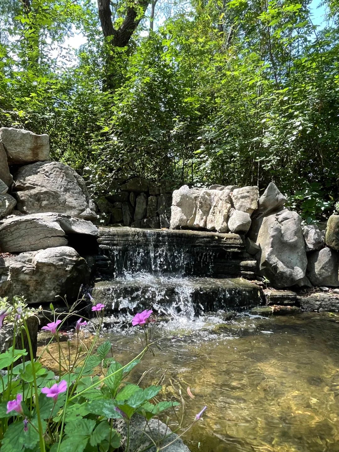 “神兽”归笼，九月临沂天上王城许你一个醉美秋天！