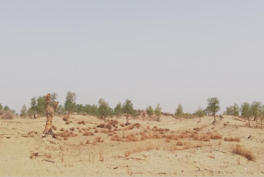 相信脚能丈量的真实：姑娘花半年时间走南疆，说出南疆的真实状况