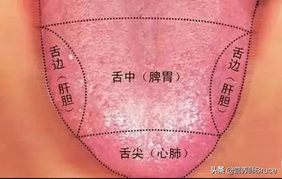 舌头观察身体症状,舌头观察健康状况
