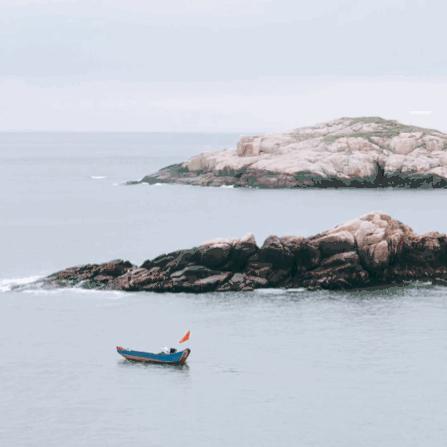 花鸟岛和枸杞岛攻略,海花岛攻略带你玩转海花岛