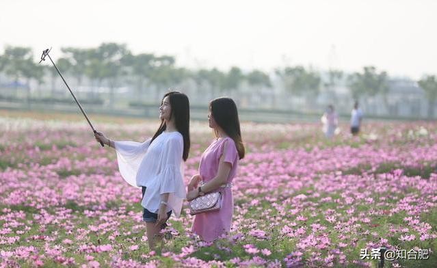合肥三河网红景点,合肥十大网红景点