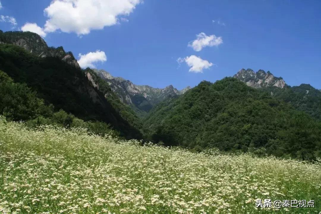 陕西大秦岭旅行视频,大秦岭宁陕养生长廊公园