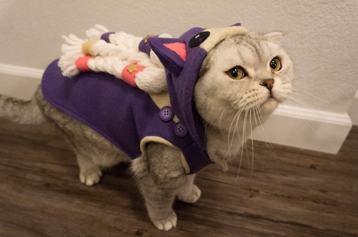 lol愚人节皮肤柯基,英雄联盟柯基皮肤