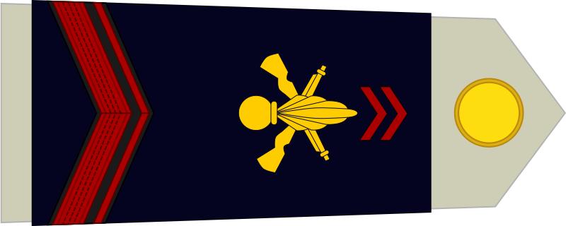 法国将军军衔等级,法国上校是什么军衔