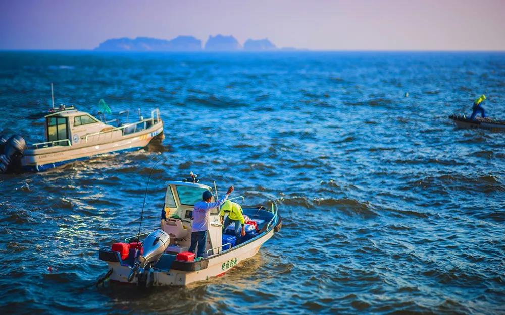 渔都舟山群岛的海鲜果然名不虚传,舟山渔港最好吃的海鲜