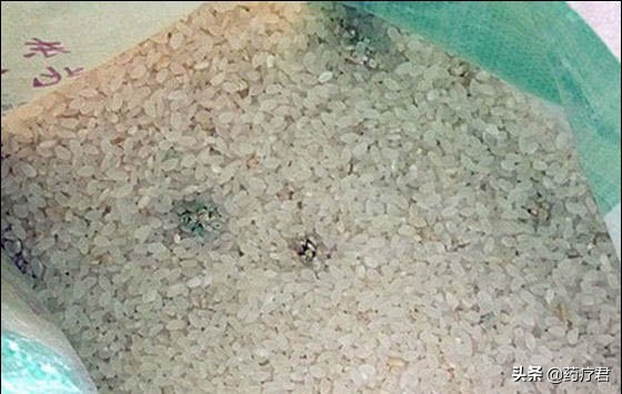 吃什么大米对肝癌有好处,吃过期的大米会得肝癌吗