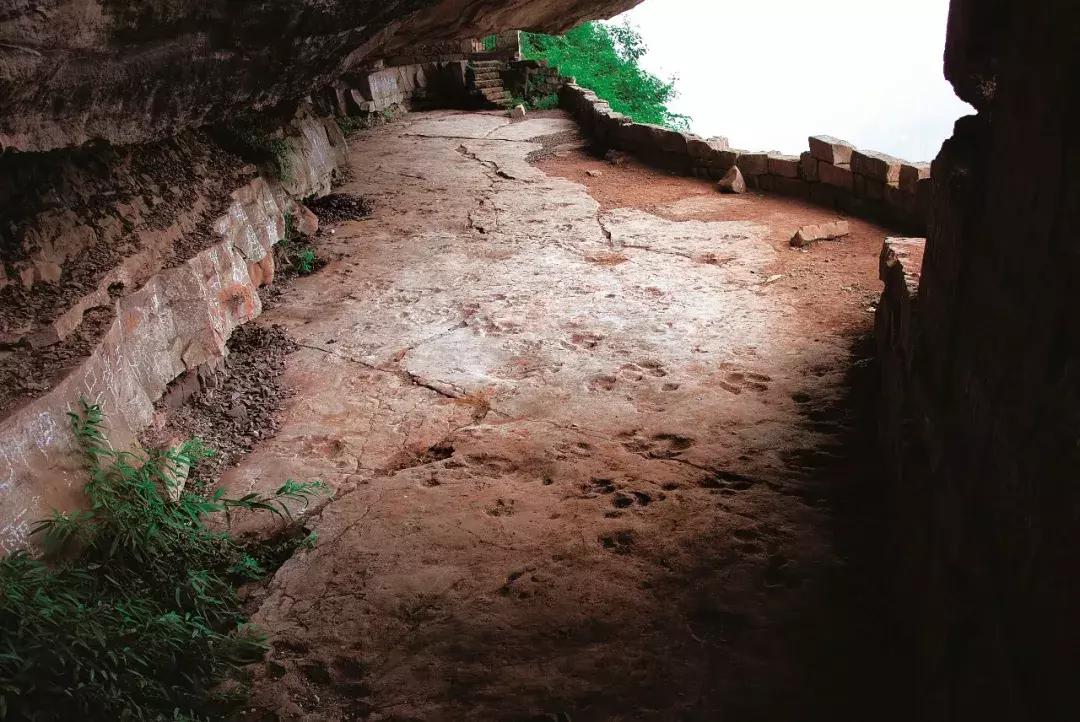 快去綦江的莲花保寨看看，那儿发生了一件事儿