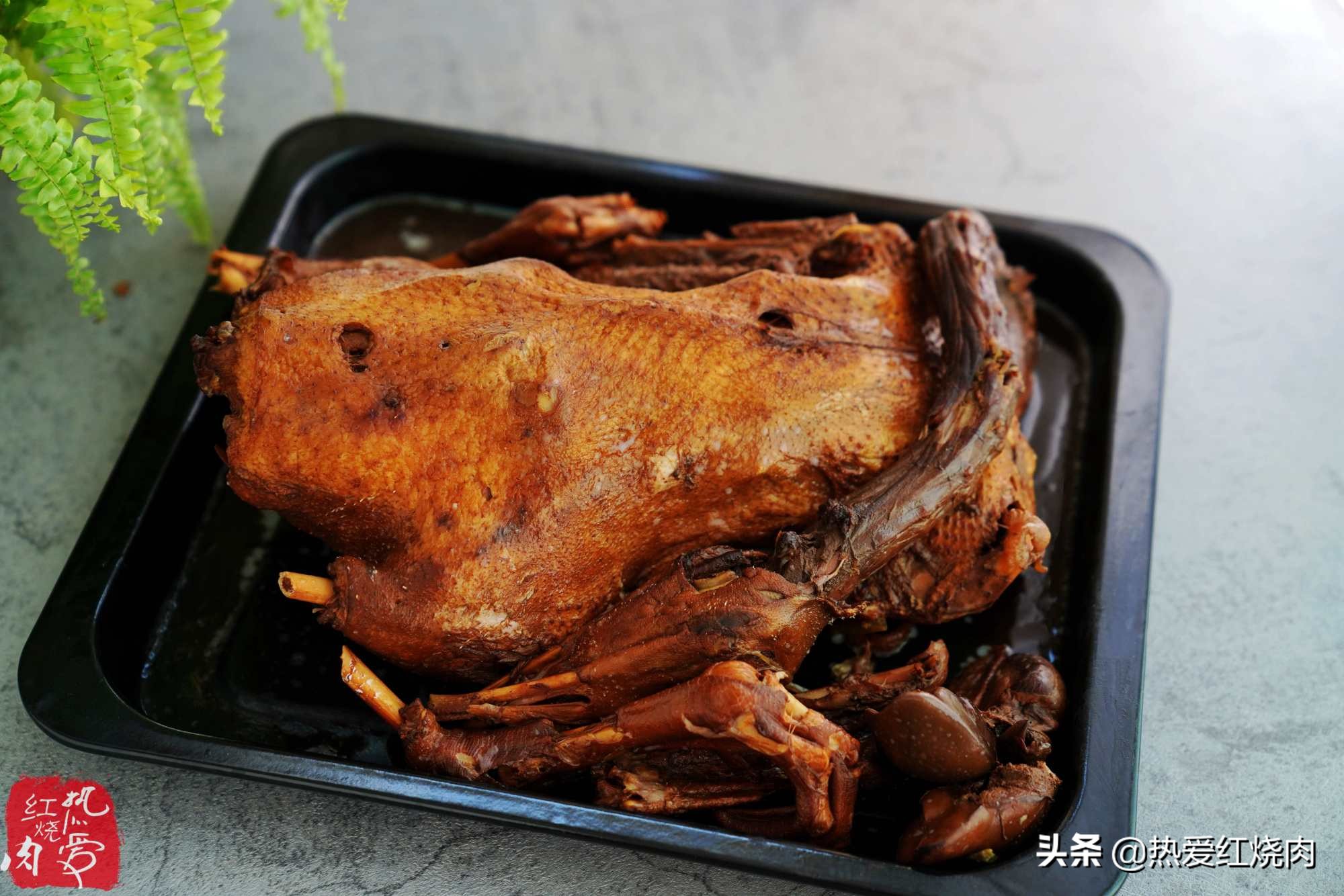 家禽爱吃的菜,什么鹅最好吃又好养