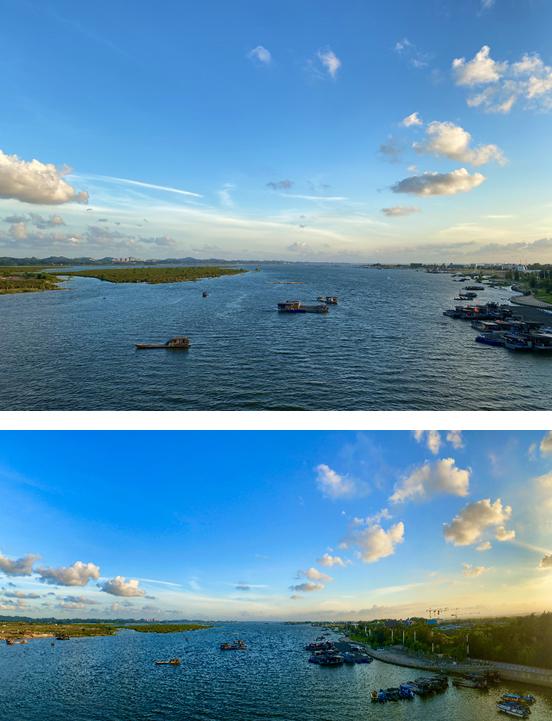 生蚝之乡广东阳江,生蚝之乡鲜蚝