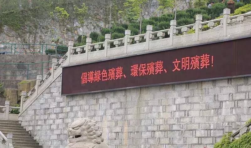 所谓的冷门专业是不好就业吗,十大冷门专业揭秘