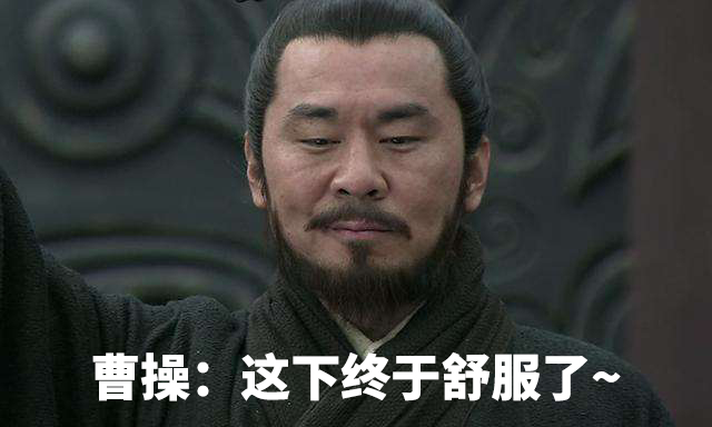 三国时期各地外族势力,三国时期有哪些外族入侵